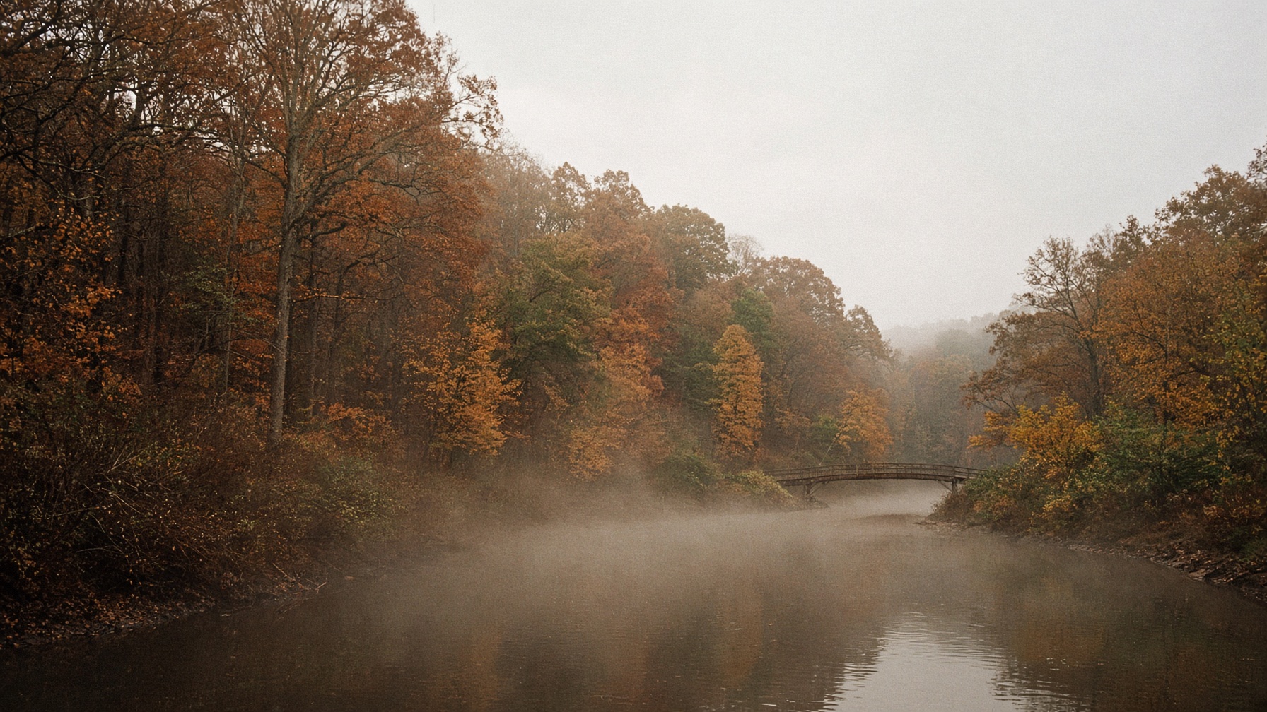 A misted river valley in late autumn, hardwood forest in rust and olive.